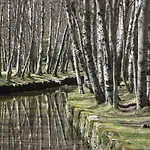 Sambuc'asa - Serra Da Estrela