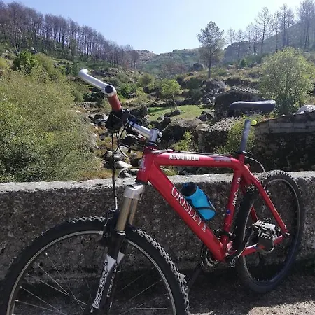 Sambuc'asa - Serra Da Estrela