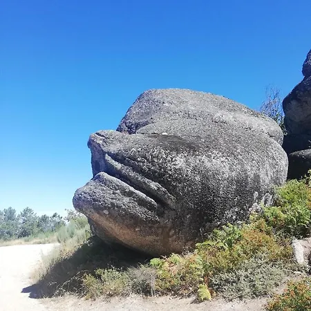 Sambuc'asa - Serra Da Estrela *