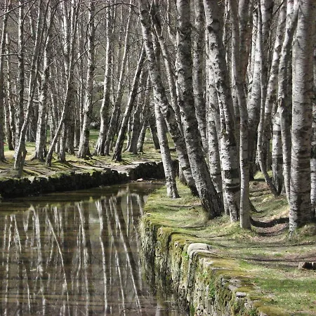 Sambuc'asa - Serra Da Estrela