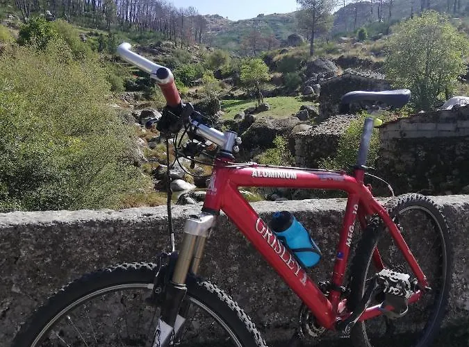 Sambuc'asa - Serra Da Estrela