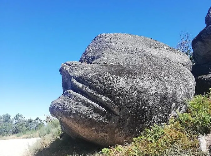 Sambuc'asa - Serra Da Estrela *