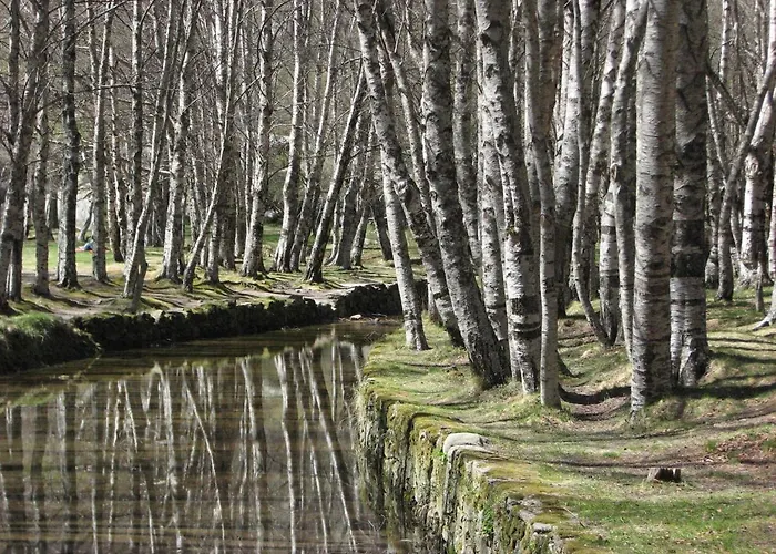 Sambuc'asa - Serra Da Estrela